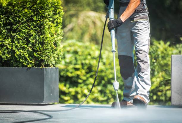 Best Solar Panel Cleaning  in Islamorada Village Of Islands, FL